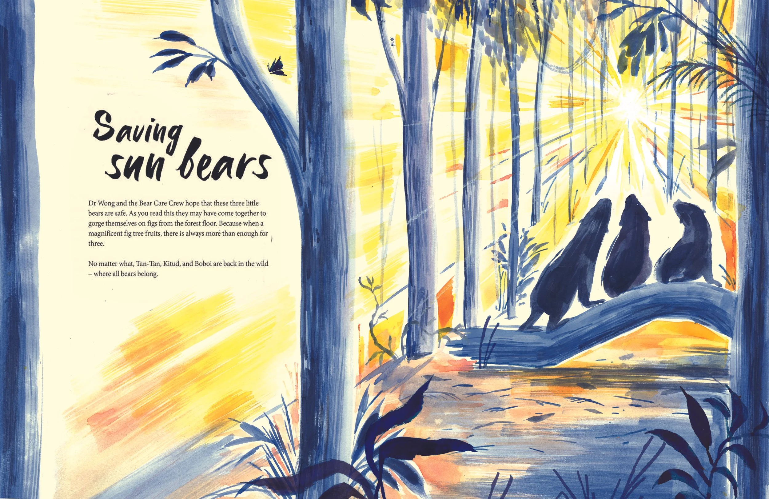 Saving Sun bears copy marina copy.jpg