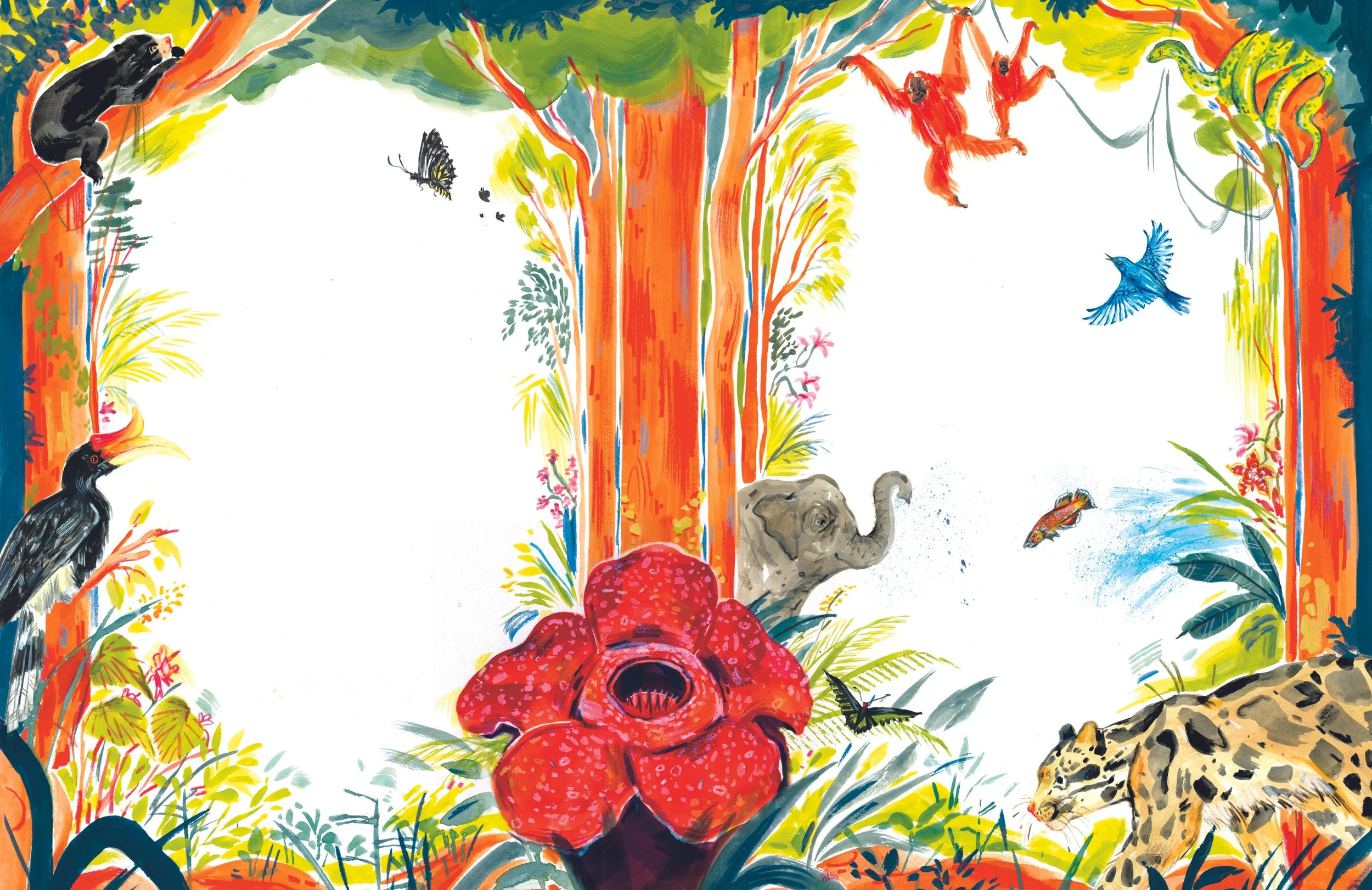Forest full of life reworked.jpg