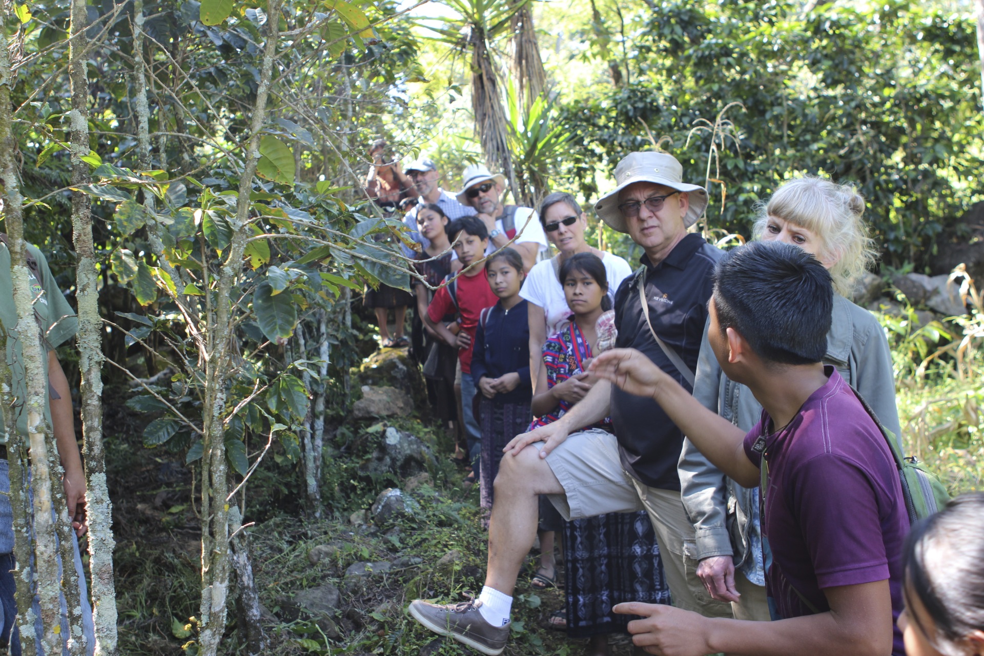 Miguel explaining the process of coffee cultivation and harvesting, in English.