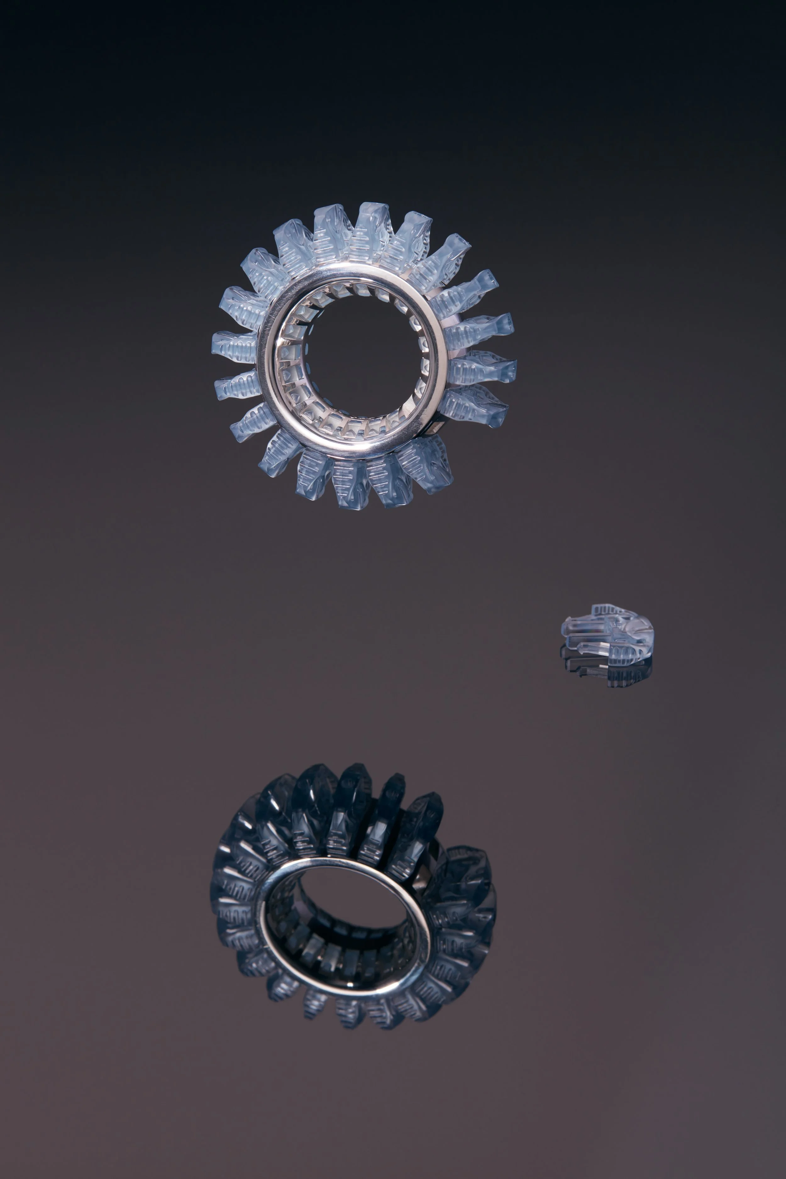 080A0281cleaned 1.jpg