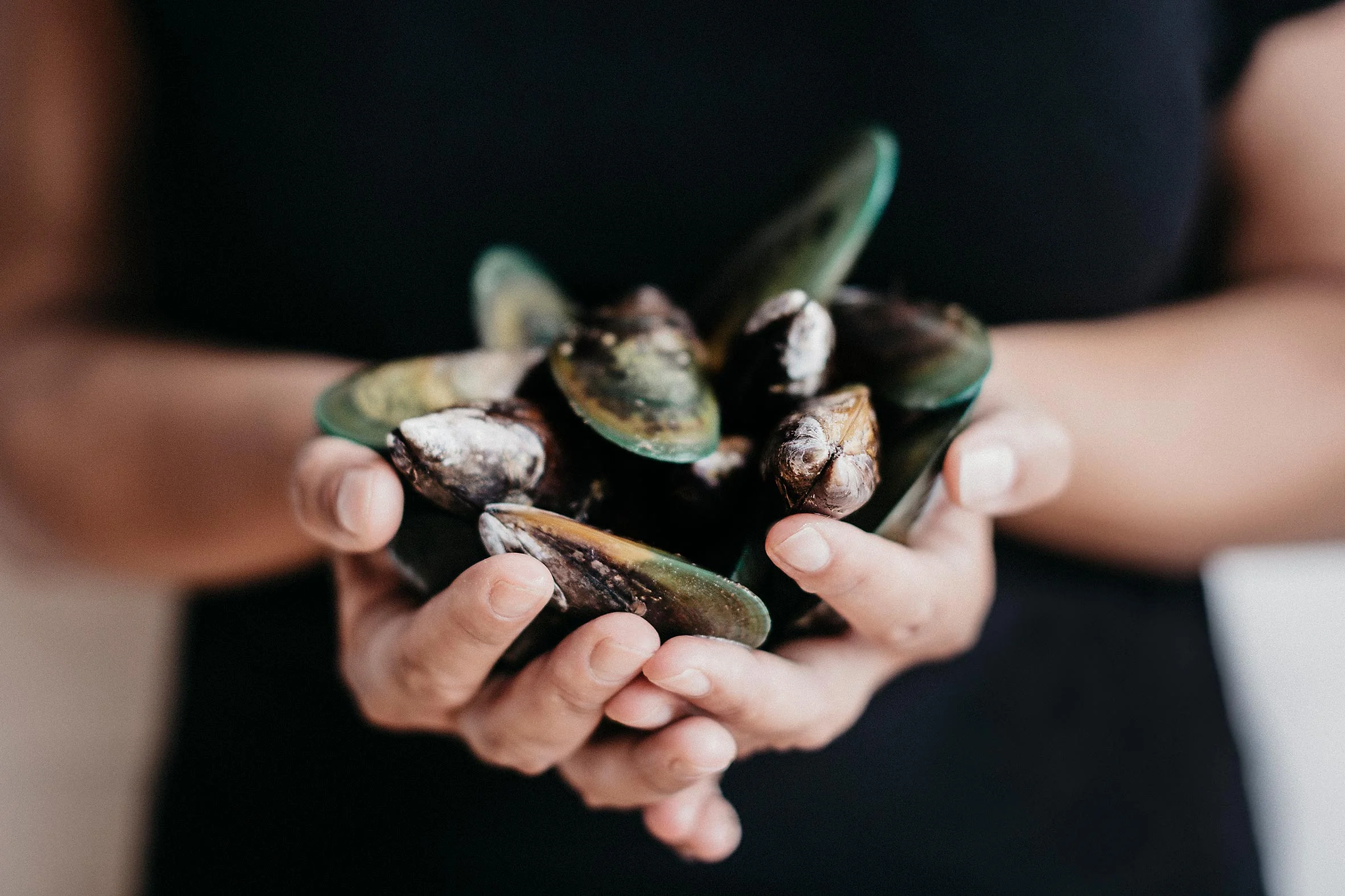 Greenshell Mussels — Kono