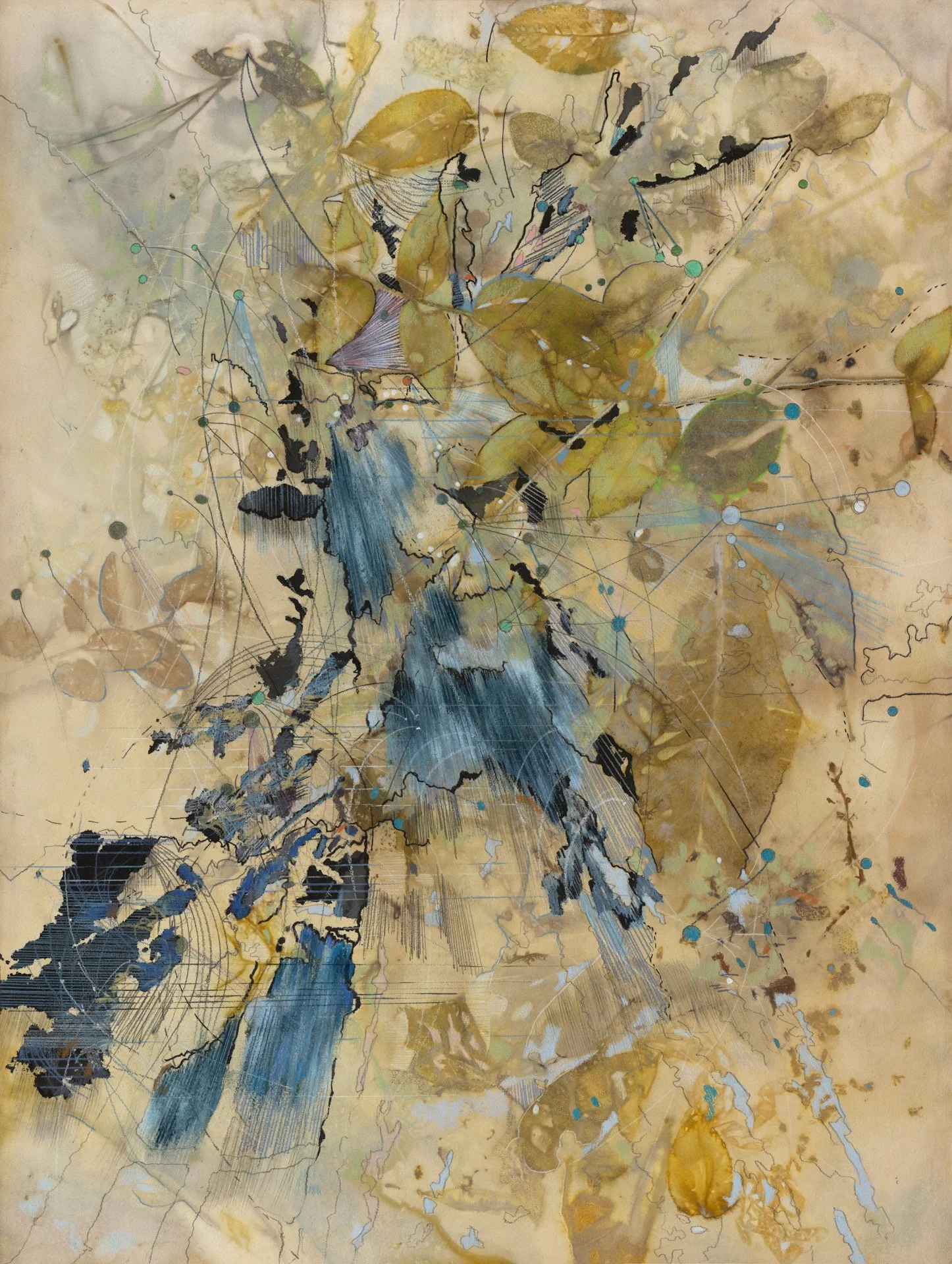  Listening to Trees 3  2023, botanical print and&nbsp;media on paper  75 × 56 cm, 29.5 x 22 in  Private Collection 