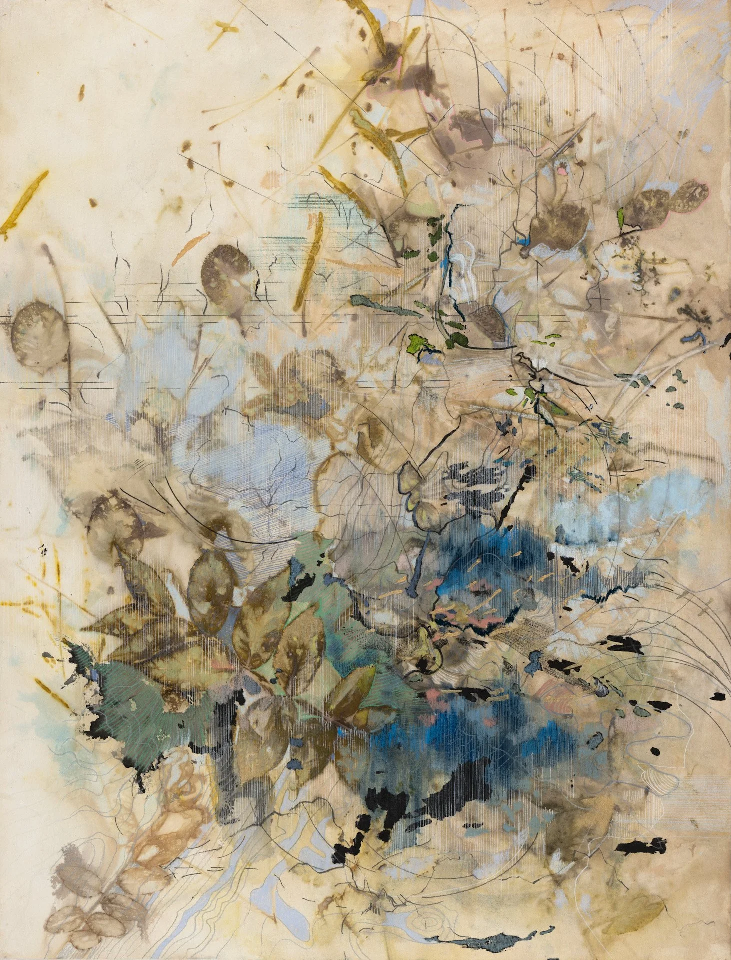  Listening to Trees 2  2023, botanical print and&nbsp;media on paper  75 × 56 cm, 29.5 x 22 in  Private Collection 