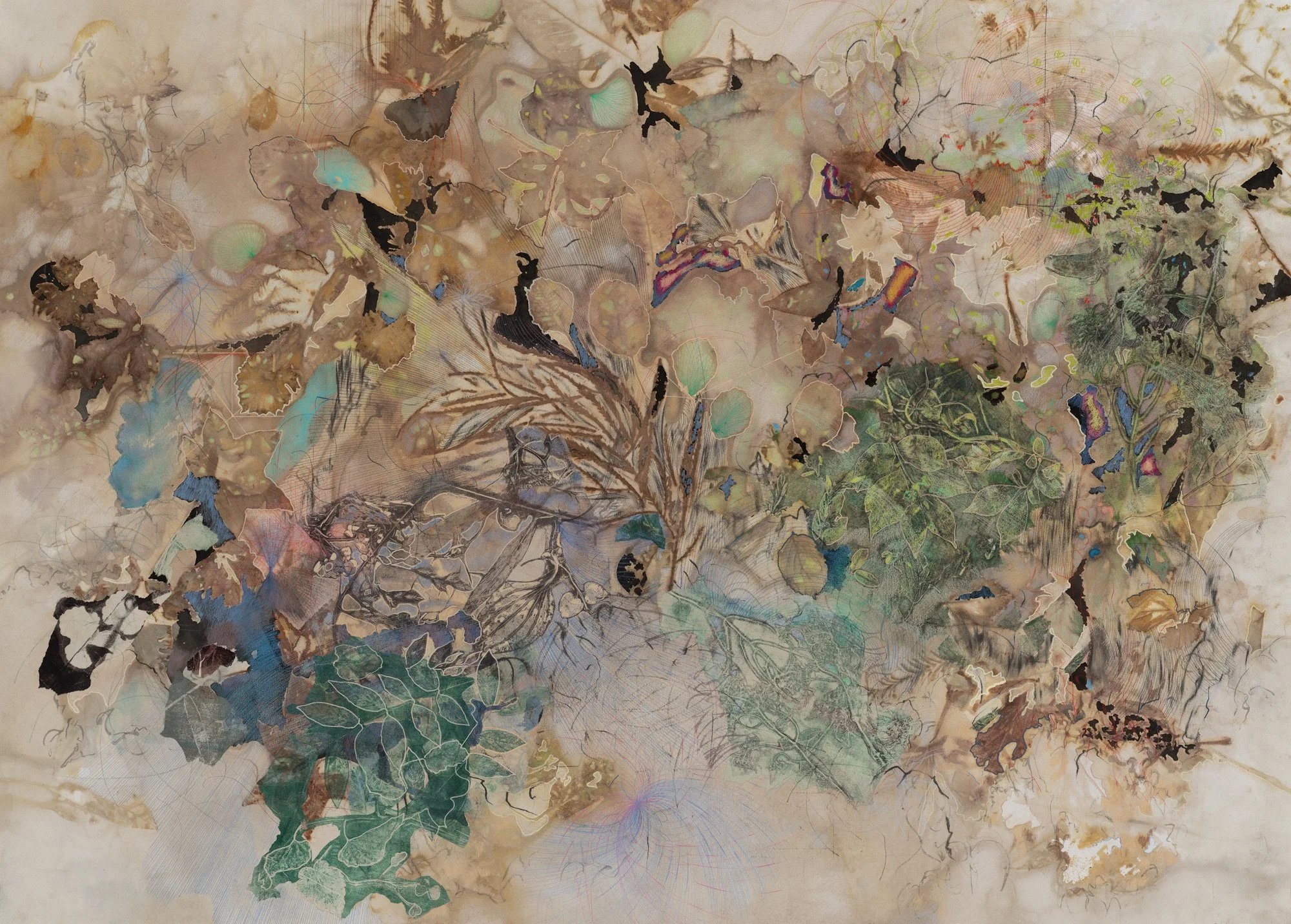  Leaf-by-leaf Alchemy 1  2025, Eco print with Bald cypress, Witch hazel, Sweetgum, Maple, monoprint collage, ink, markers, color pencils, graphite on Arches En-Tout-Cas  94 × 131.5 cm, 37 x 51.75 in  Private Collection  