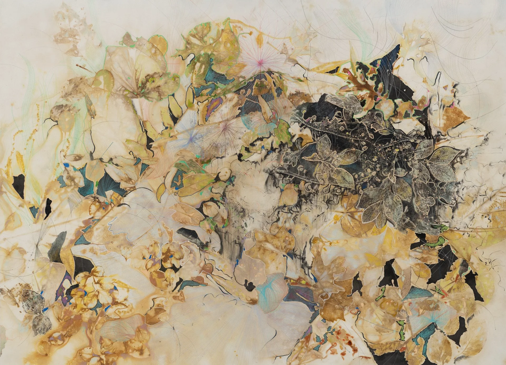  Leaves and Blossoms Along the Way 1  2024, Eco print, monoprint collage, ink, markers, color pencils, graphite on Hahnemuhle paper  75.5 x 104 cm, 29.75 x 41 