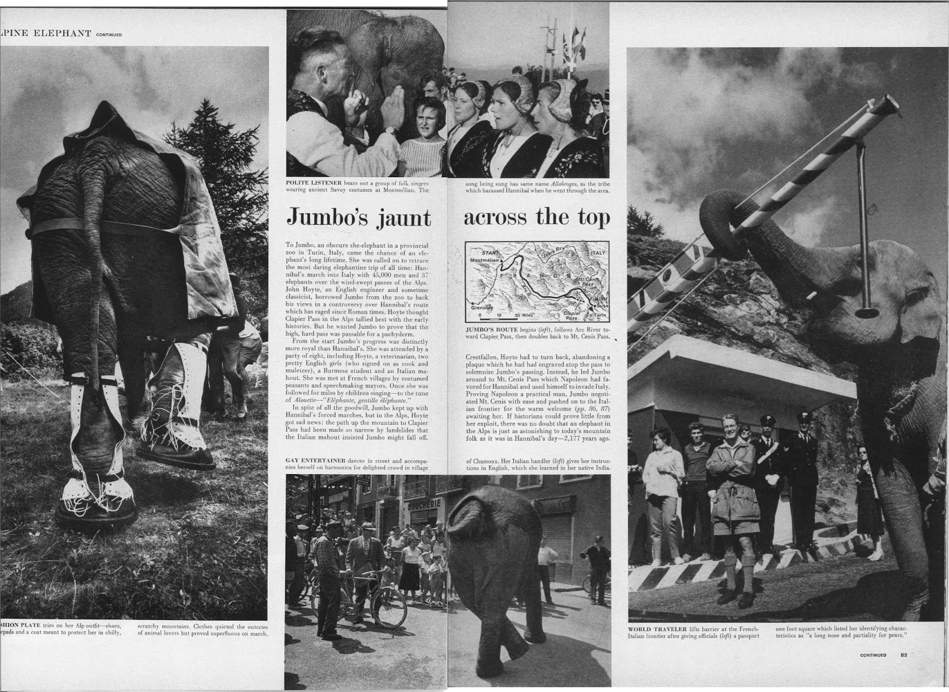 Jumbo's boots were made by Lotus of Northampton, famous for their ladies shoe fashions! Jumbo, crossing the border into Italy..