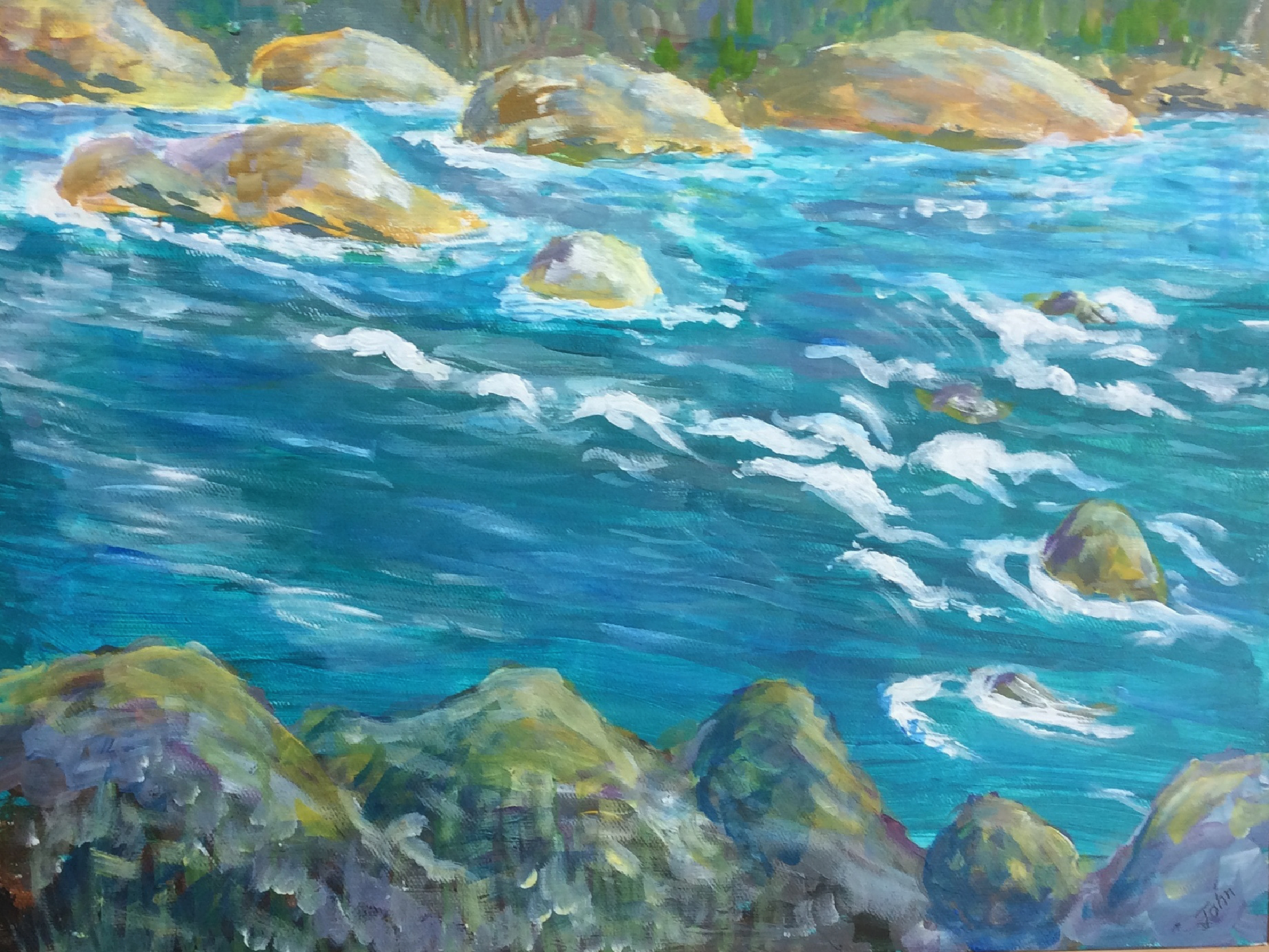 The Nooksack River, near Bellingham WA