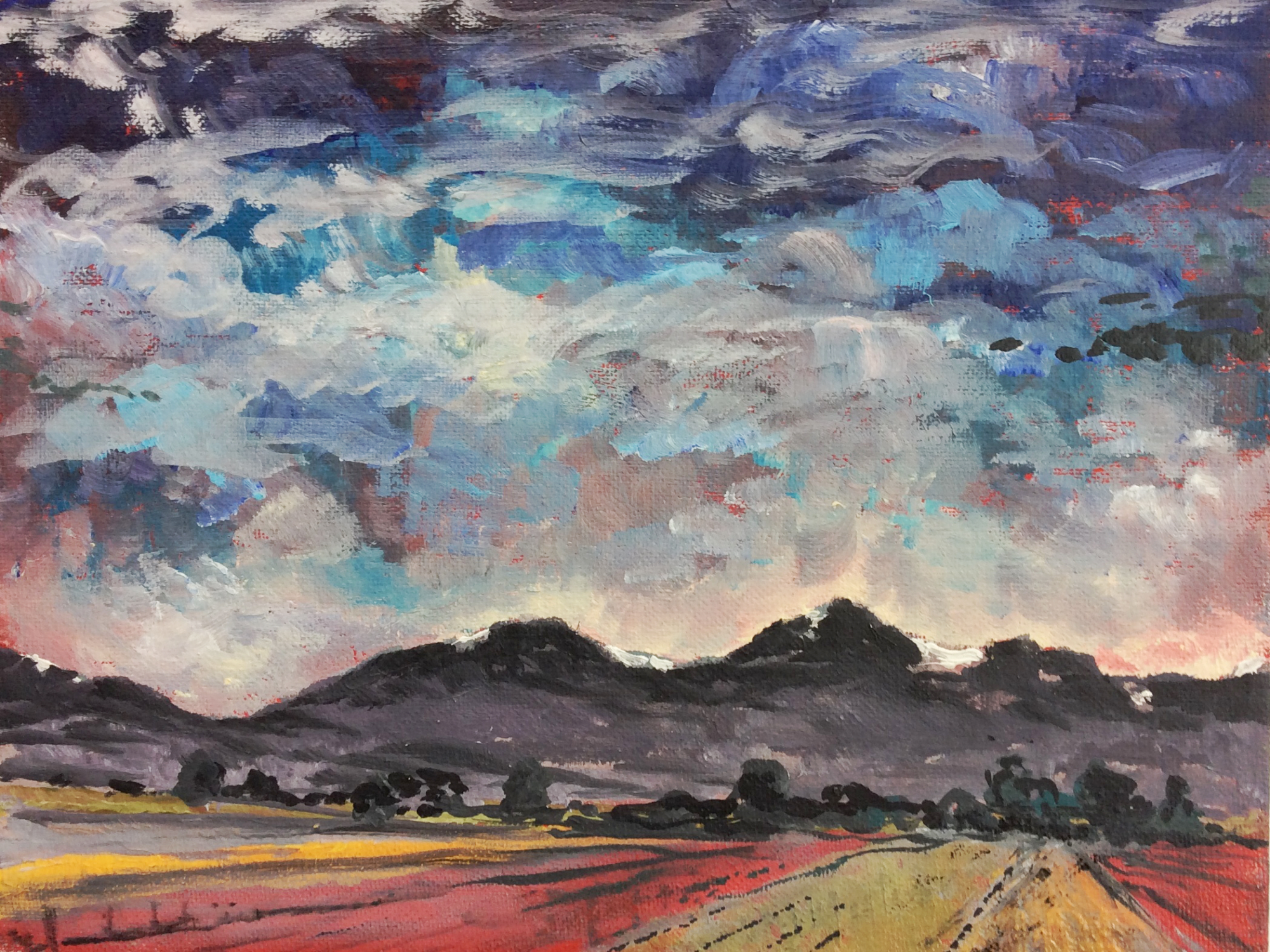 Sunrise, Skagit Valley with tulip fields