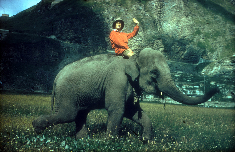 Jumbo, our Indian elephant with Michael riding.