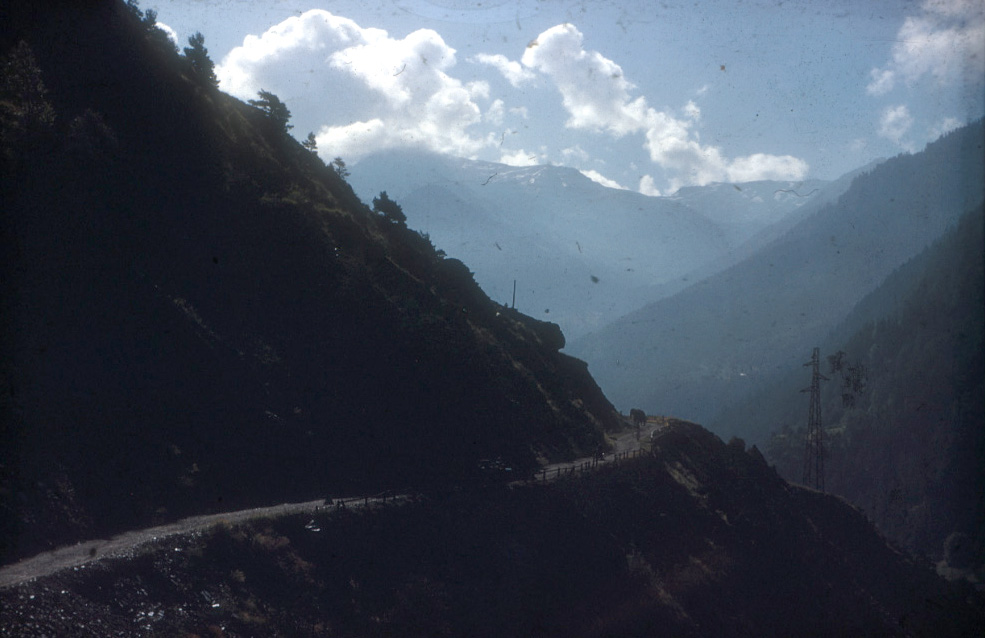 Jumbo on a high mountain trial.