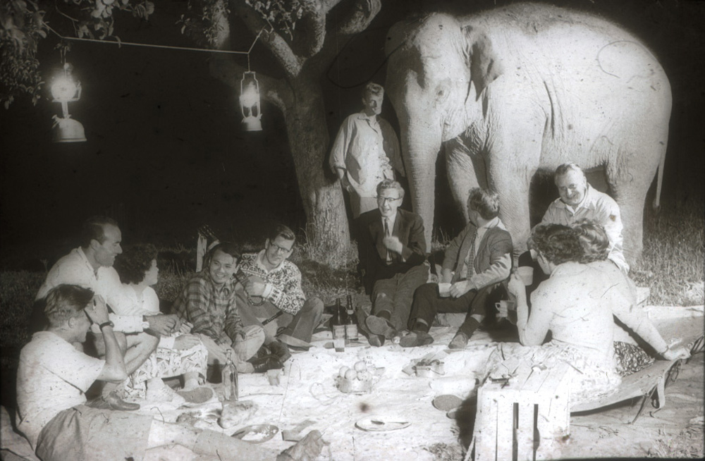 Camp fire scene with Jumbo as backdrop.
