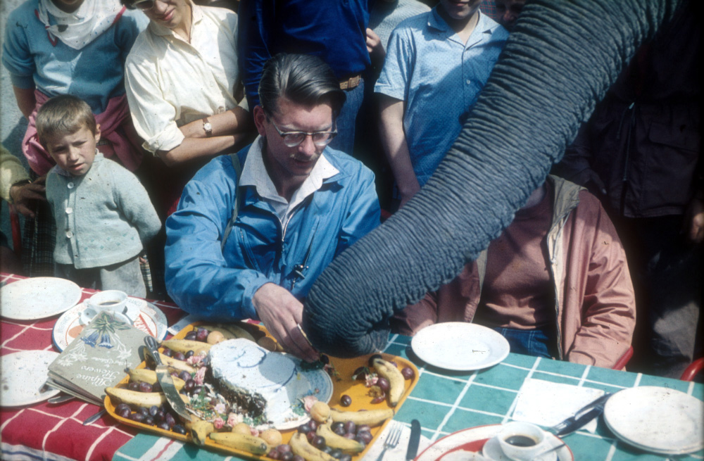 Jumbo getting the first slice of our elephant cake, in celebration of our crossing into Italy.
