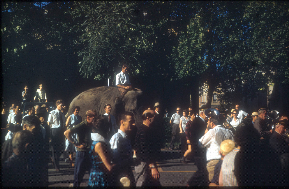 Arriving at the Zoo, Turin, with Ernesto riding Jumbo.
