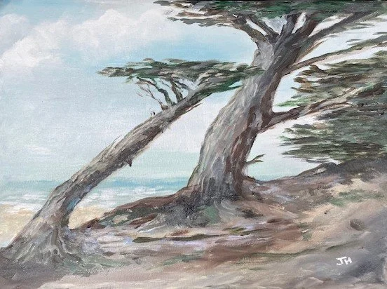 Monterey cypress, California coast