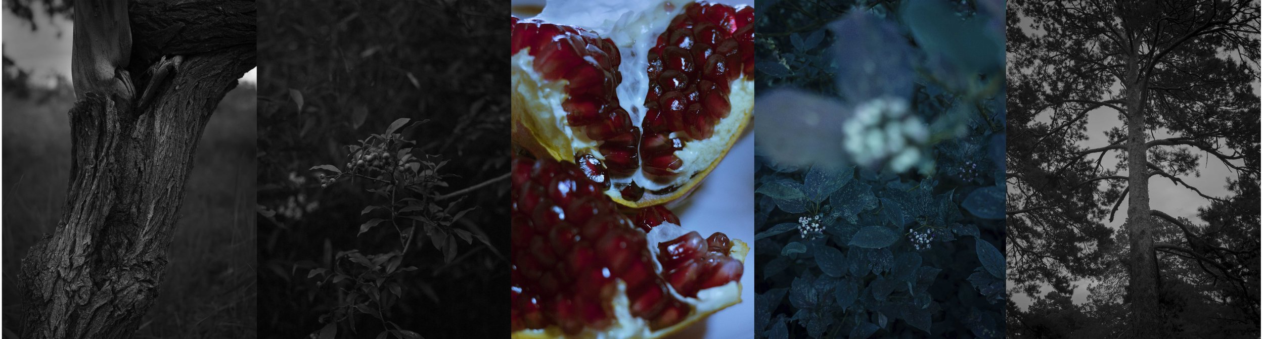 《門  II》摄影五联画  “The Gate II”，Photography pentaptych,2018-2022, 160cmx 600cm Ed.2.  2020-2022  