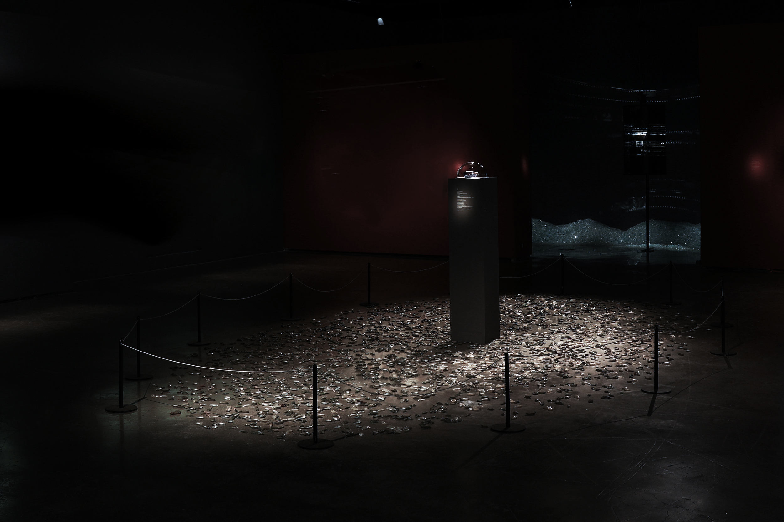 SHELTER.Installation, Material:Blue Mytilidae Shell, Haliotis asinina shell, Oncomelania shell,Mirror,Variable Size.2021
