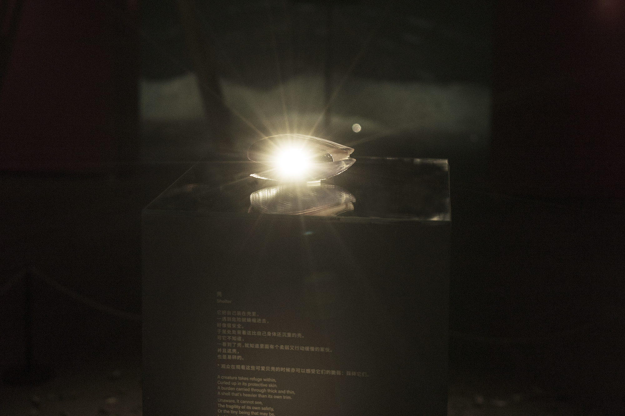 B0010180s.png