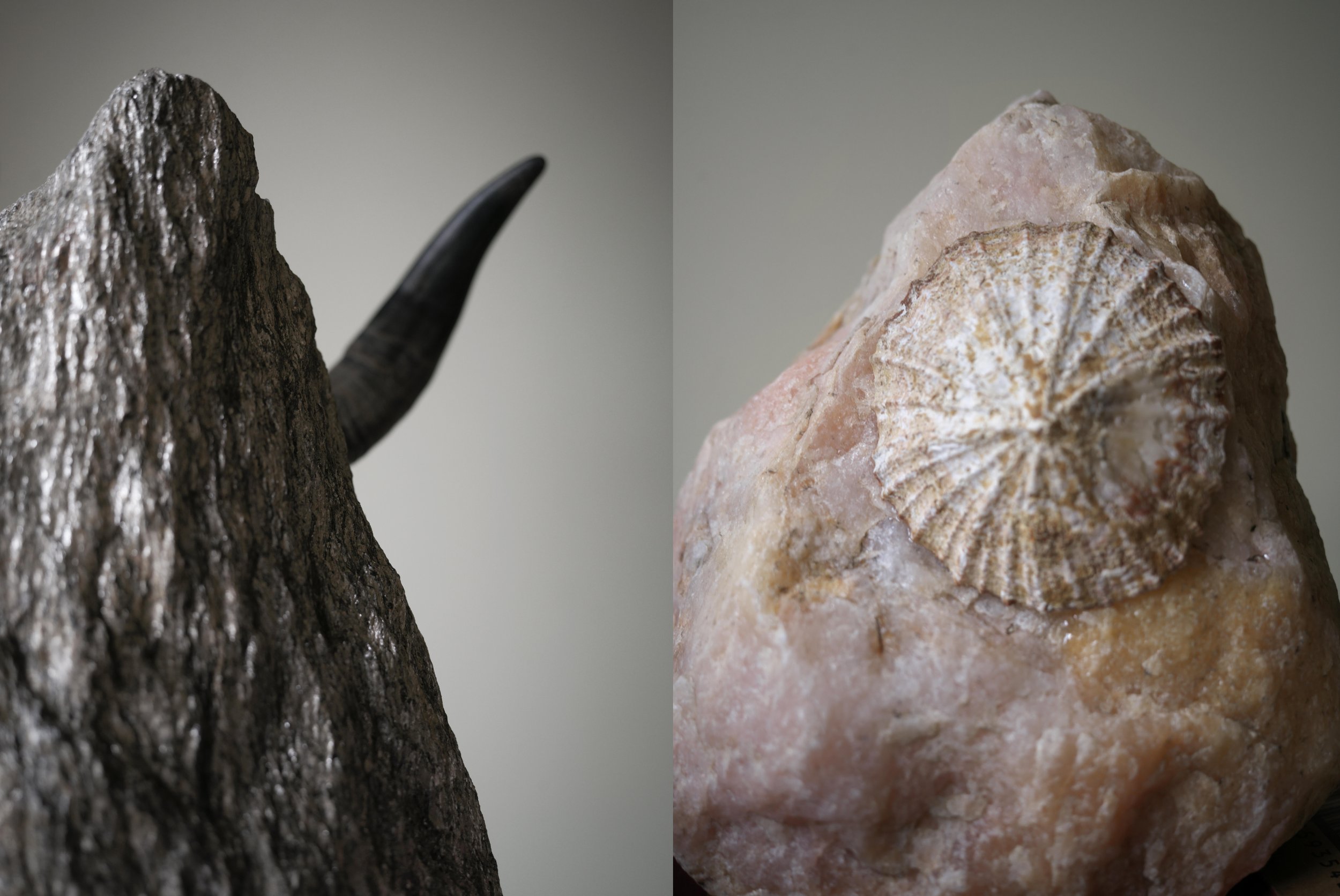 Contradiction:spear and shield. Installation, Material:Ox Horn,Deaurata shell, Micalex, Marble.Variable Size.2023