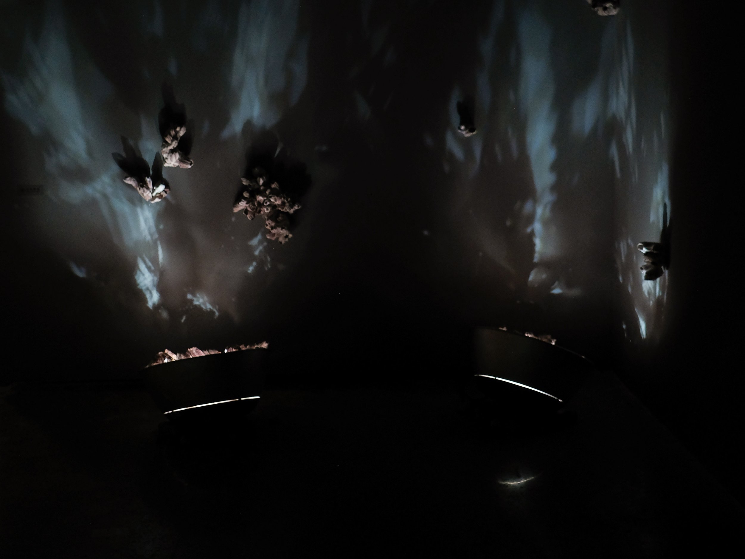 DSCF7819.jpg