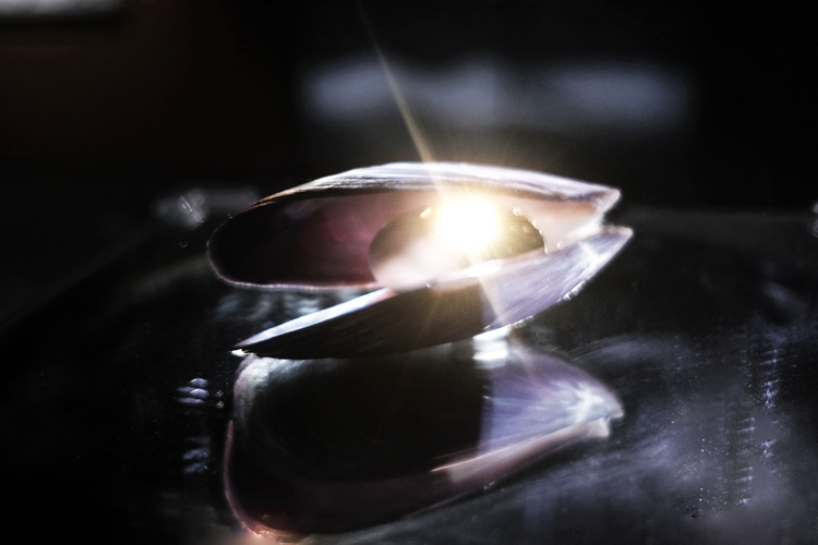 DSCF8216p (1).png