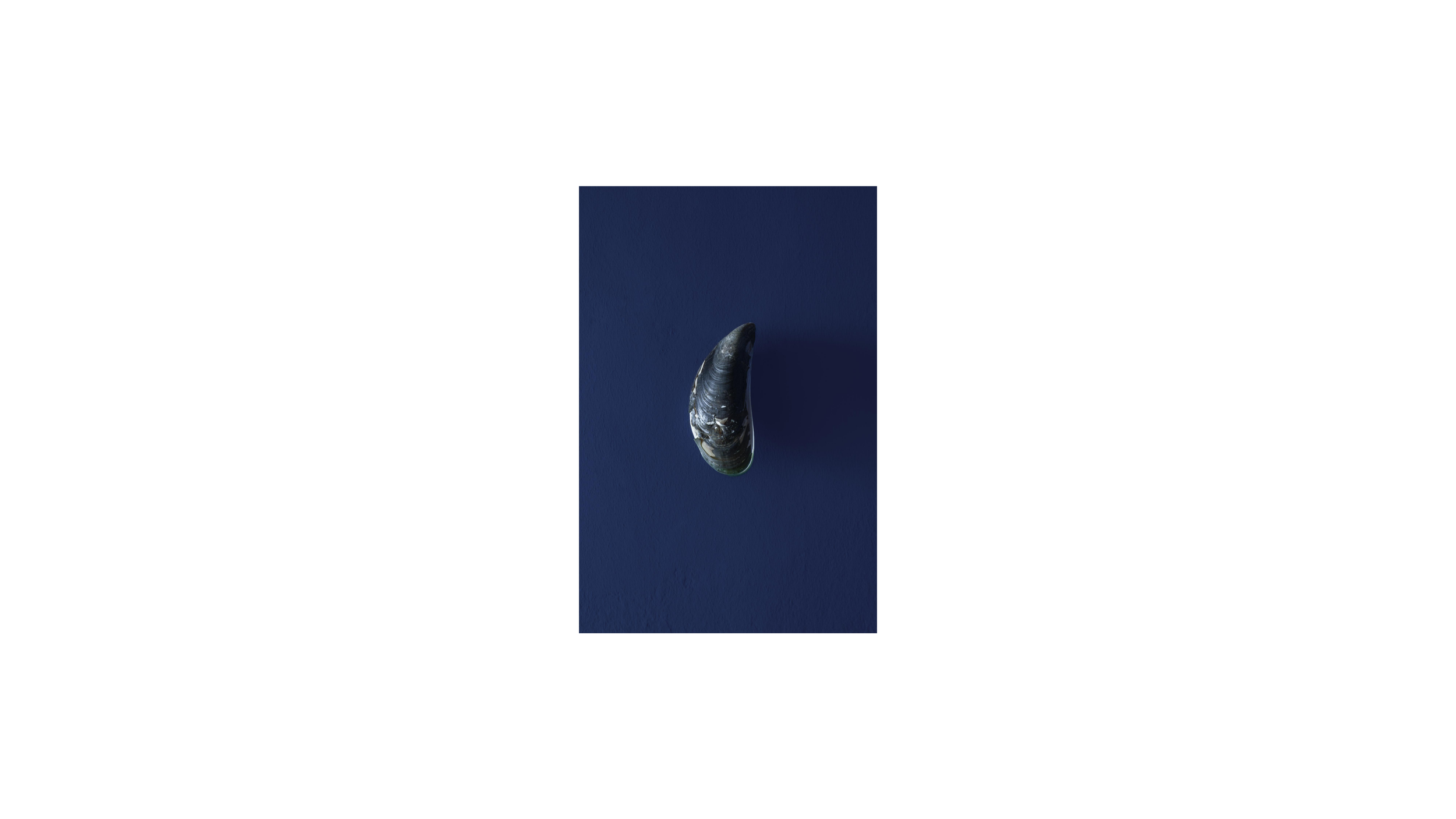 不系之舟Untied Boat三影堂Three shadows_25.png