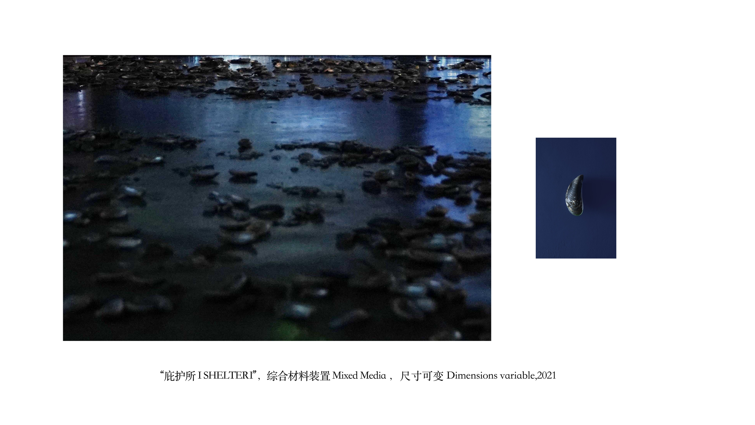 不系之舟Untied Boat三影堂Three shadows_23.png
