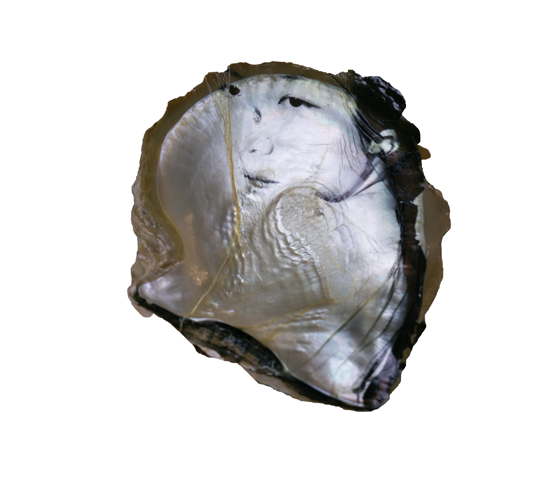 The Meditations:Strangers The shell, a shelter of hardened calcium carbonate, offers eternal protection to the soft body within—even outliving the life it once sheltered. The shell, a sturdy sanctuary of calcium carbonate, offers eternal protection