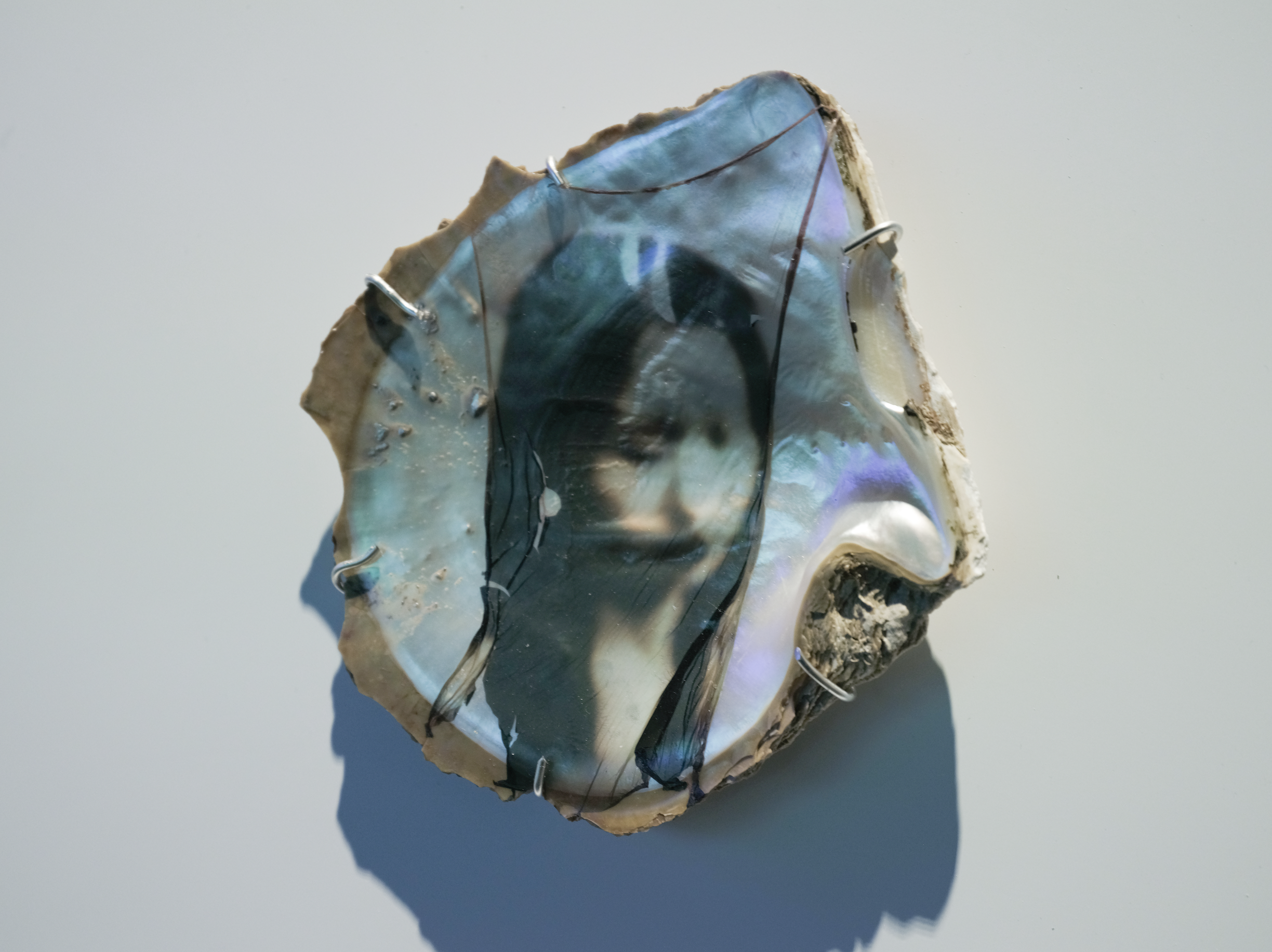 截屏2026-02-09 23.44.33.png