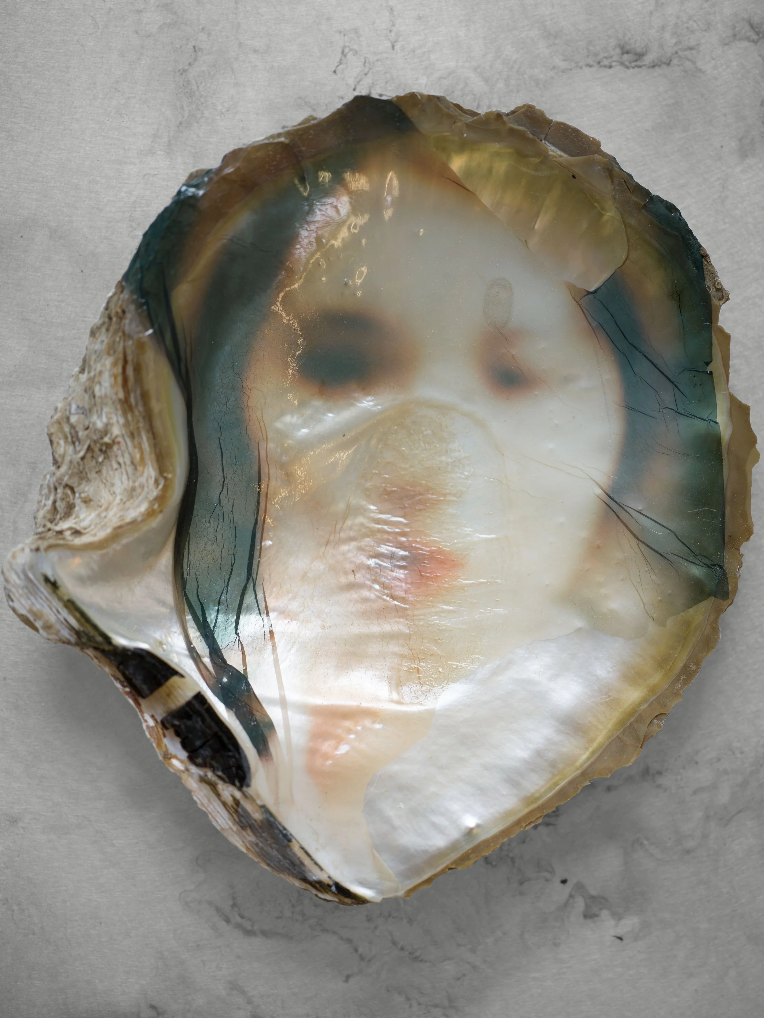 B0013573-编辑-编辑.jpg