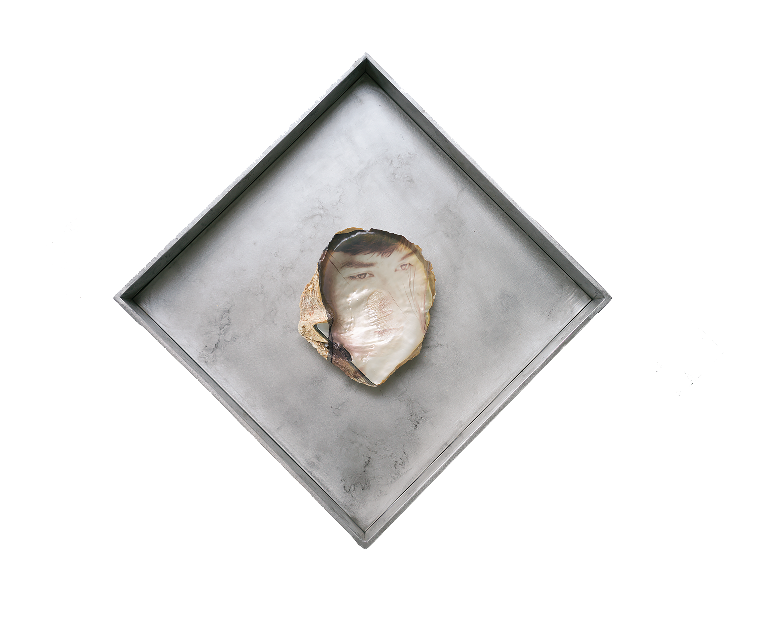 他听见石头在开花：贝壳，即时显影胶片，漆，铝整体85(H)*85*6cm, He hear that the stone is blooming.”：Seashell, film, lacquer,with frame 85(H)*85*8cm，2026