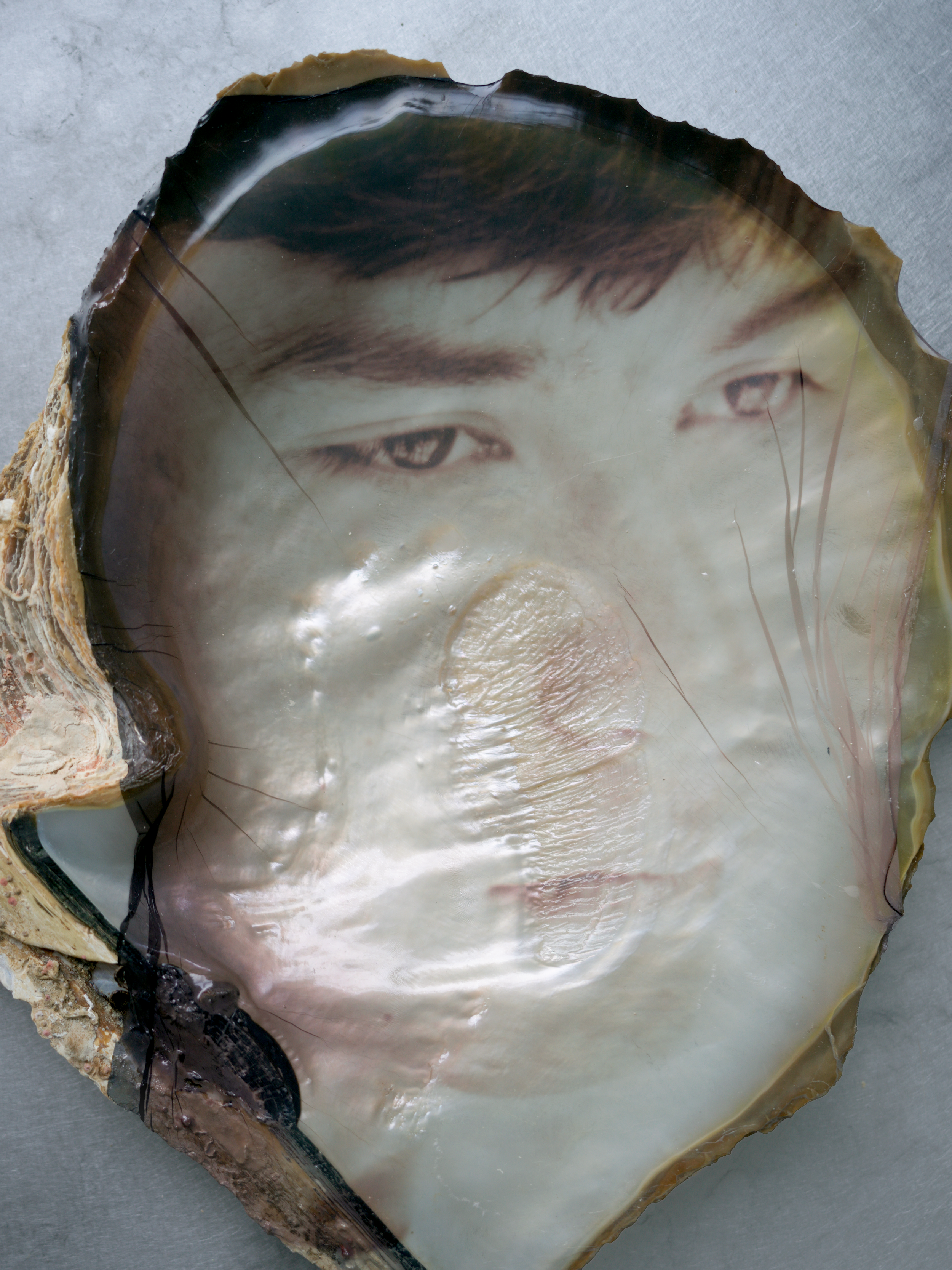 B001503s5.png