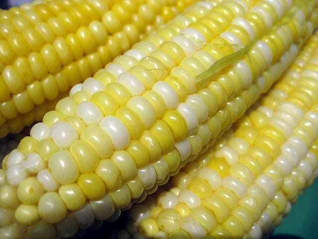 How high the corn?