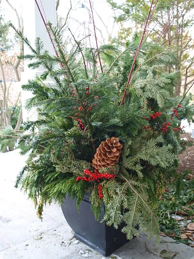Container gardens for winter  