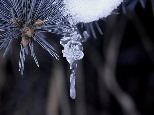 The January thaw