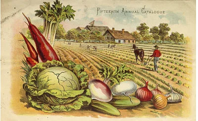 Plant porn: The gardening catalogs