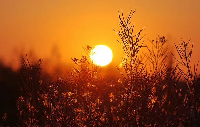 Sun worship: Is it wrong?