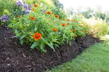 Mulch, on a garden border Preen