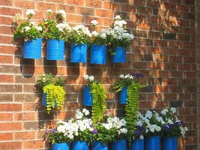 Tin can planters Magda Wojtyra/Flickr