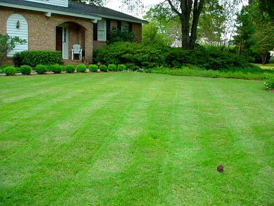 Turf grasses: A New Jersey specialty 