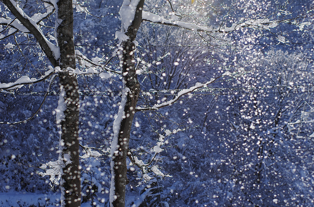 Let it snow!