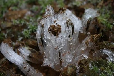 Ice crystals in the soil. kfergos/Flickr