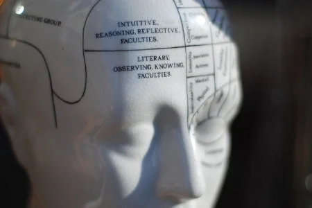 Phrenology, a study of bumps on your head. Emmet Connolly/Flickr