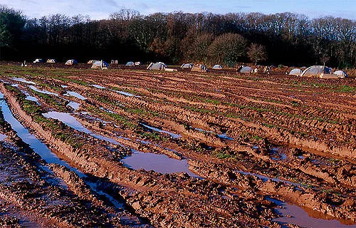 Mud season