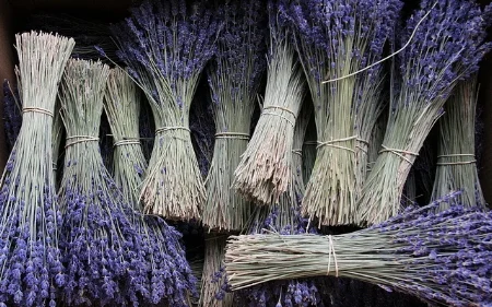 Lavender bundles. David Biesack/Flickr