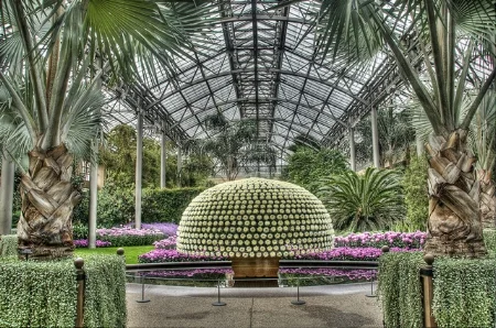 Mum festival at Longwood Gardens — cocoabiscuit/Flickr