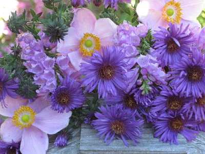 Serendipity strikes again