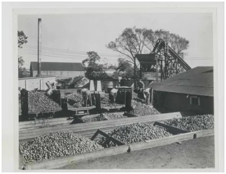 Apple processing at Laird’s, Colts Neck, NJ. — Courtesy Laird & Co.