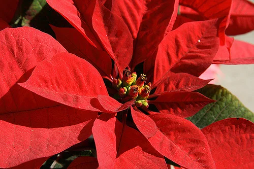 Out with the old, in with the new