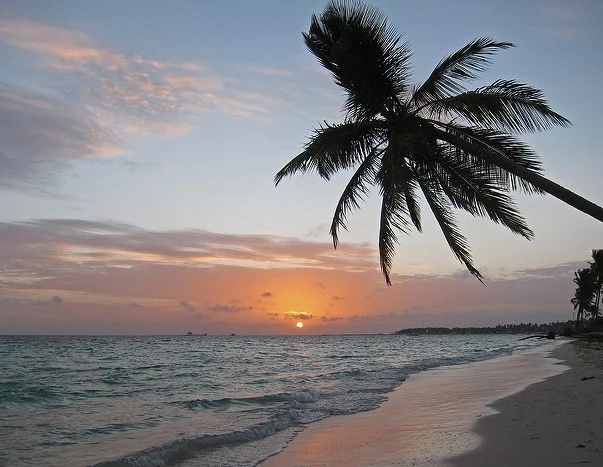 Wishing myself on a beach under a palm tree. — Allen McGregor/Flickr.