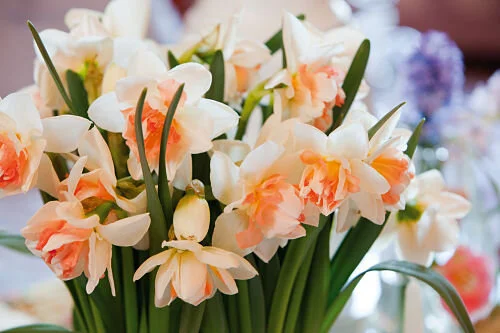 Nature's brightest bulbs